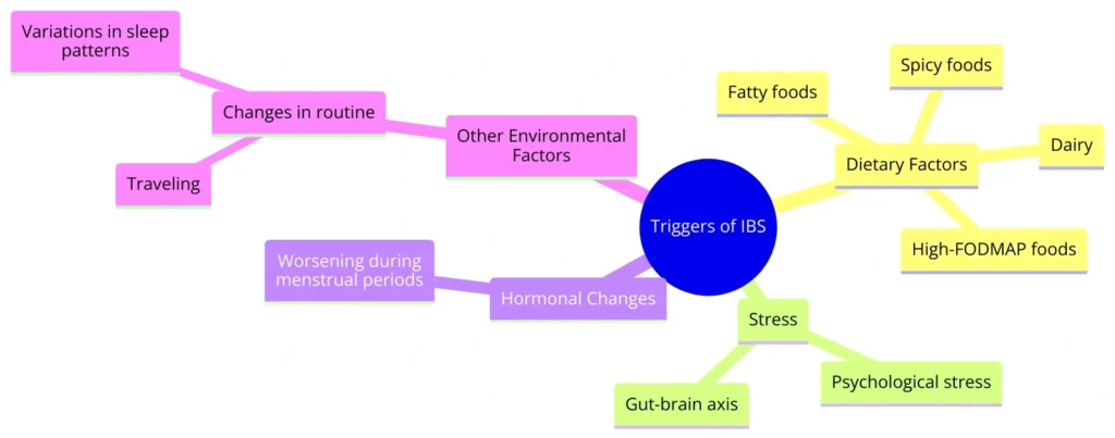 Common Triggers of IBS and Their Interplay