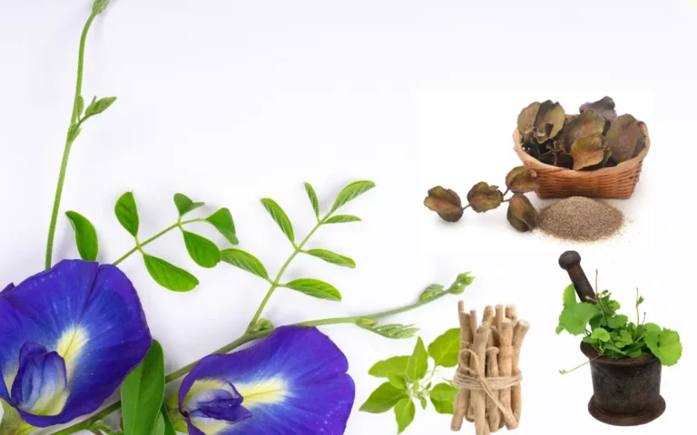 Ayurveda and Cardiovascular Health: Key Insights and Takeaways 3 Ayurveda And Cardiovascular Health: Key Insights And Takeaways