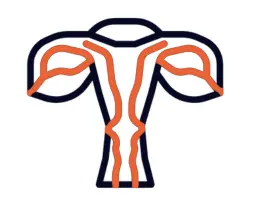 Ayurveda Healthcare for Complex Health Issues, gynecology