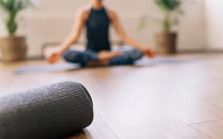 Ayurveda and Cardiovascular Health: Key Insights and Takeaways 4 Ayurveda And Cardiovascular Health: Key Insights And Takeaways
