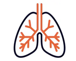 Ayurveda Healthcare for Complex Health Issues, respiratory problems