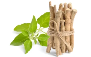 Ayurvedic Home Remedies for PCOD and PCOS , Ashwagandha