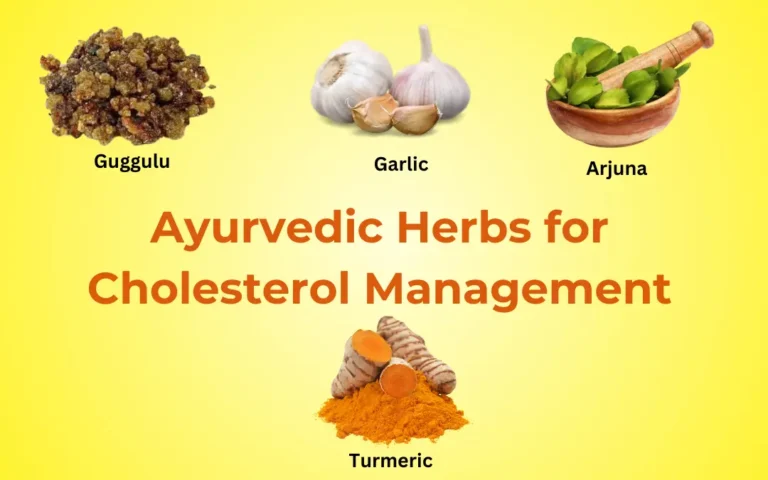 Key Ayurvedic Herbs for Cholesterol Management