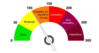 Escape the Invisible Threat: Ayurvedic Secrets to Protect Your Lungs from Air Pollution