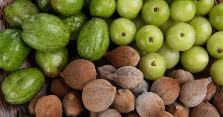 Triphala: A 2,000-Year Journey from the Forests of India to Your Medicine Cabinet 1 Triphala, triphala benefits: A 2,000-Year Journey from the Forests of India to Your Medicine Cabinet