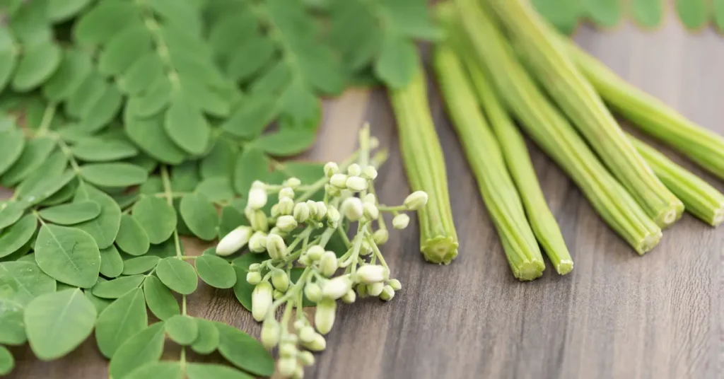 Moringa Benefits, Uses, Dosage & Side Effects—Everything You Must Know