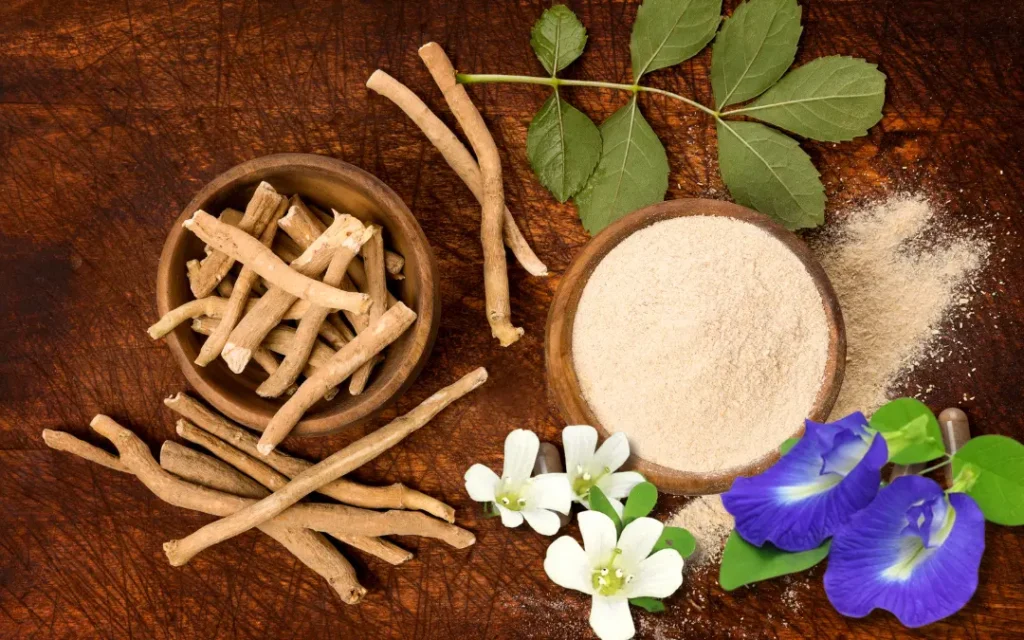 Alcohol & Healthcare: The Indian Paradox We Don’t Talk About Enough