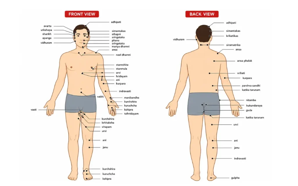 Is Marma Chikitsa Part of Ayurveda?